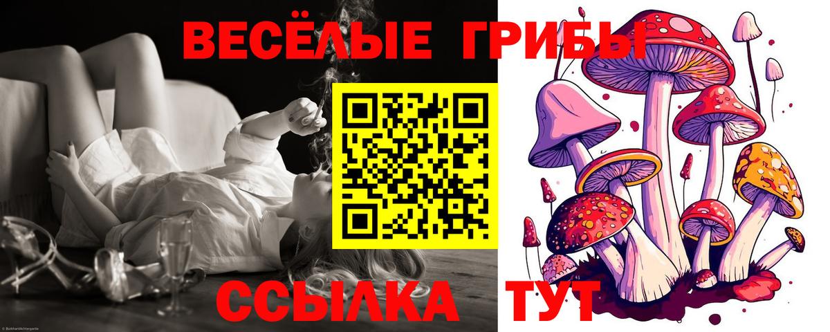 Псилоцибиновые грибы мухоморы Уссурийск